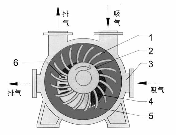 2BE1水环式星空(中国)一站式服务官方网站结构图